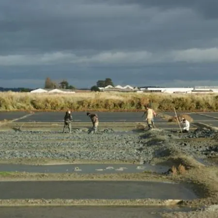 Les Quatre Vents La Baule