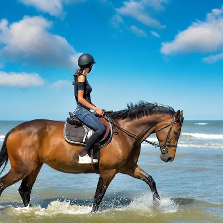 Oda ve Kahvaltı Les Quatre Vents 4*