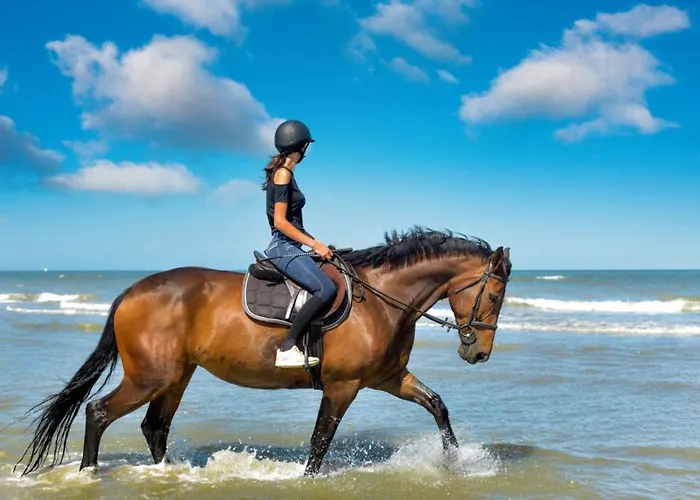 Bed & Breakfast Les Quatre Vents 4*